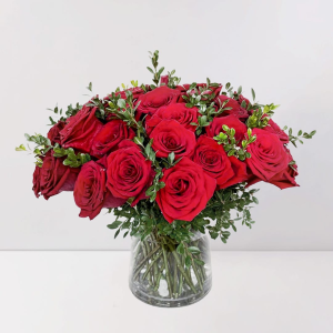 classic red rose dome