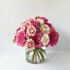 Blush & Bloom Garden Rose Arrangement
