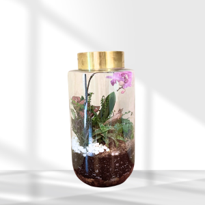 terrariums